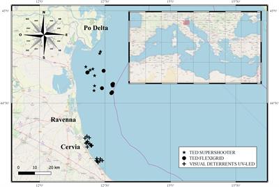 Reducing Sea Turtle Bycatch in the Mediterranean Mixed Demersal Fisheries